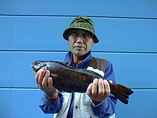 PIC00023.jpg (18361 バイト)