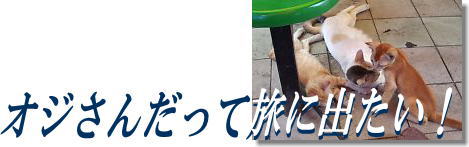 �I�W���񂾂��ė��ɏo�����I