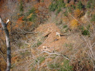 �Q����_�m���D�P�O