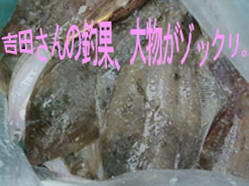 gc̒މ