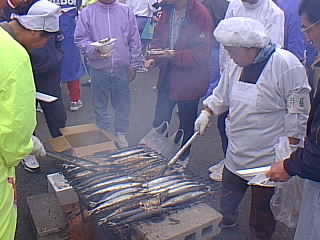 pic00052.jpg (16676 バイト)