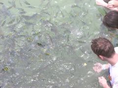 at