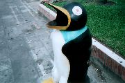 S~