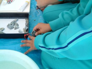 右手で持って砥石にこすりつけている小学生女子